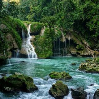 Waterfall forest HD wallpaper