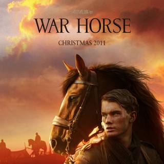 War Horse wallpaper