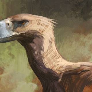 Terror bird wallpaper