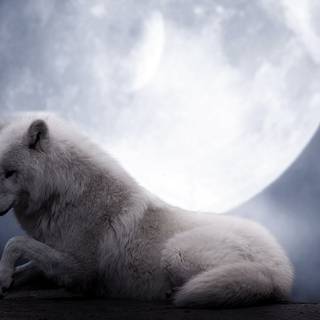 Spirit wolf wallpaper