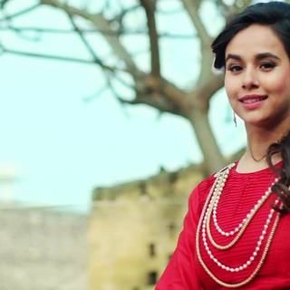 Punjabi women singer wallpaper