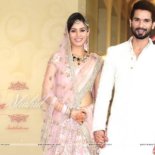 Mira Rajput wallpaper