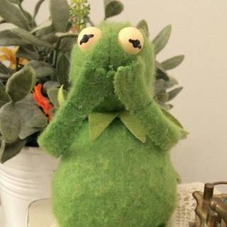 Kermit memes wallpaper