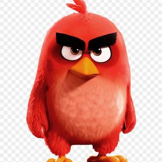 Angry Birds HD for mobile wallpaper