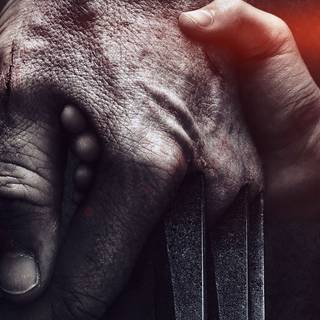 Wolverine close up HD wallpaper