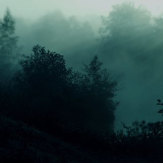 Aesthetic nature Full HD wallpaper