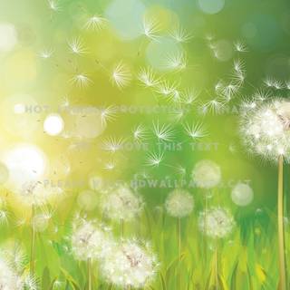 Autumn dandelion wallpaper