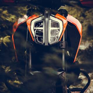 Duke riders wallpaper