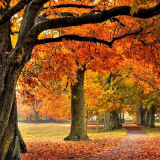 Europe autumn wallpaper