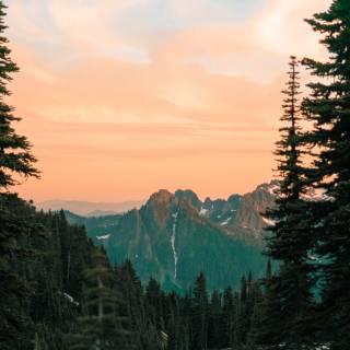 Nature Tumblr wallpaper