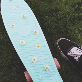 Penny board wallpaper