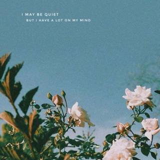 Flower aesthetics wallpaper