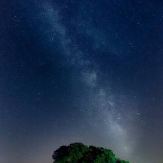 Night on the field wallpaper