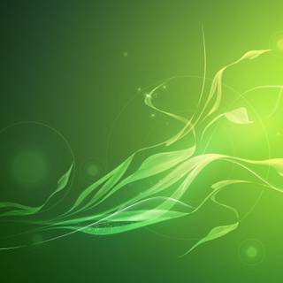 Abstract green HD wallpaper