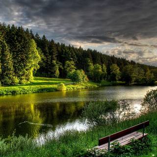 Forest river trees HD wallpaper