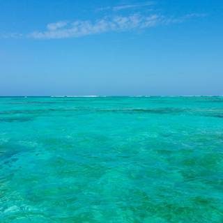 Blue sky ocean HD wallpaper