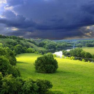 Meadow desktop wallpaper