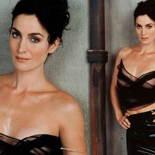 Carrie-Anne Moss wallpaper