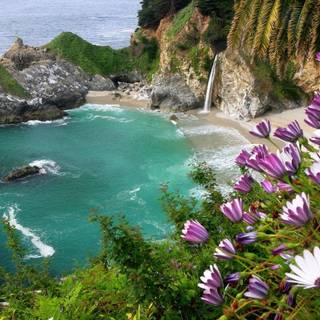 Julia Pfeiffer Burns State Park wallpaper