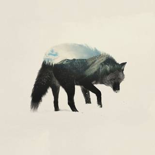 Double exposure wallpaper