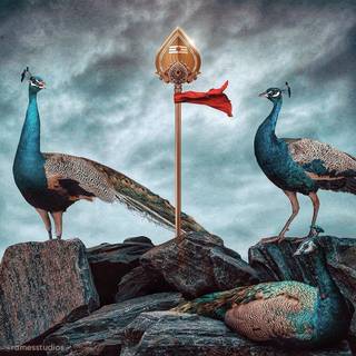 Murugan Vel wallpaper