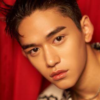 WayV Regular wallpaper