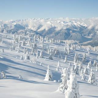 Winterland wallpaper