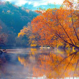 Natural scenery wallpaper