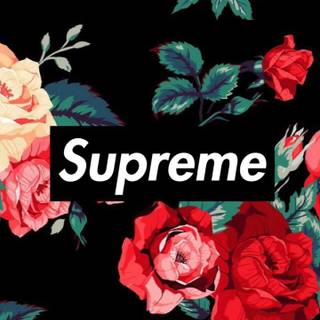 Designer brands wallpaper