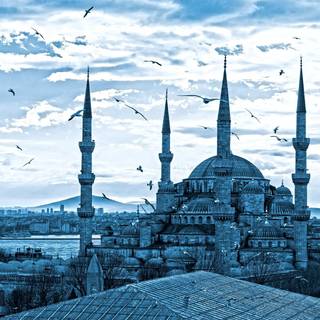 Blue Mosque wallpaper