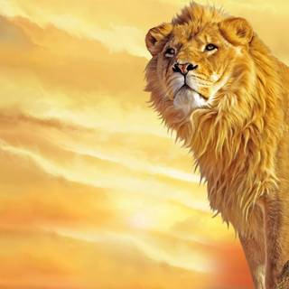 Golden lion wallpaper