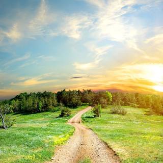 Tree clouds grass HD wallpaper