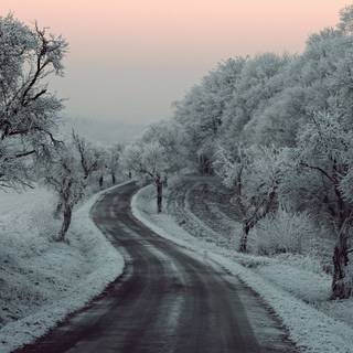 Snow trees road HD wallpaper