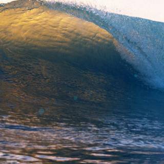 Summer wave wallpaper