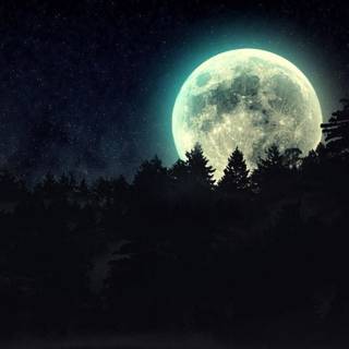 Summer full moon wallpaper