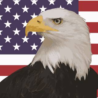 American Eagle iPhone wallpaper
