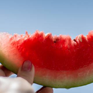 Summer fruit quotes wallpaper