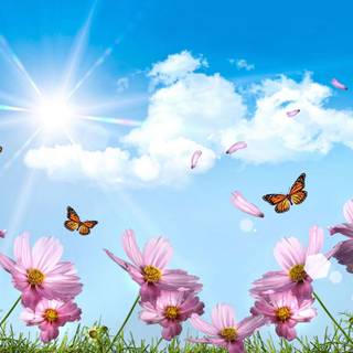 Flower fantasy wallpaper