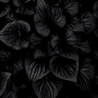 Amoled black 4k wallpaper