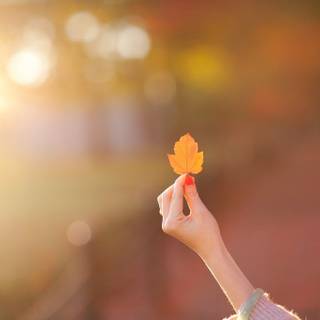 Girls hands wallpaper