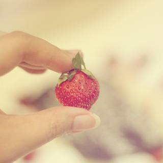 Girls hands wallpaper