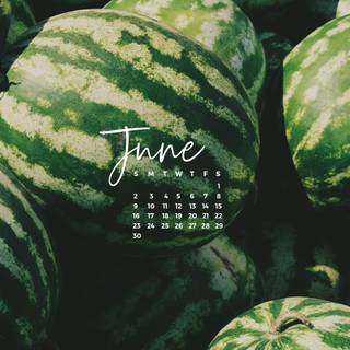 Outside summer wallpaper