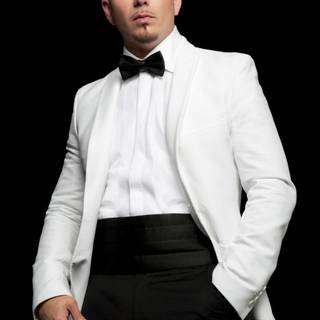Pitbull singer wallpaper