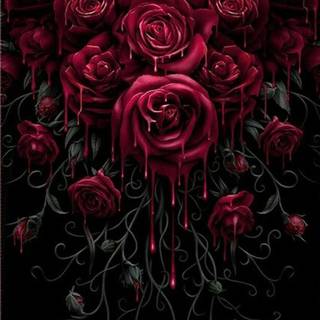Blood rose wallpaper