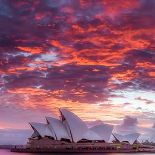 Sydney beach sunset wallpaper