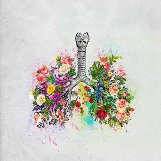Lungs wallpaper
