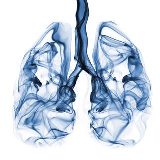 Lungs wallpaper