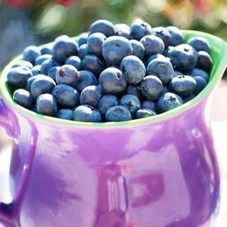 Blueberries wallpaper