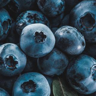 Blueberries wallpaper