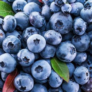 Blueberries wallpaper